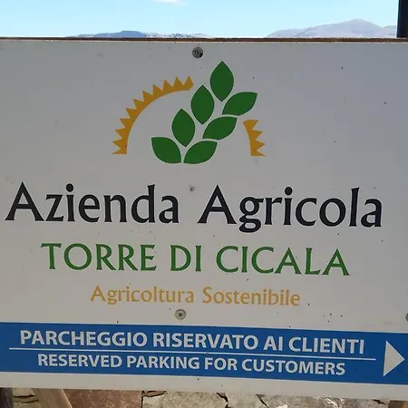 Torre Di Cicala